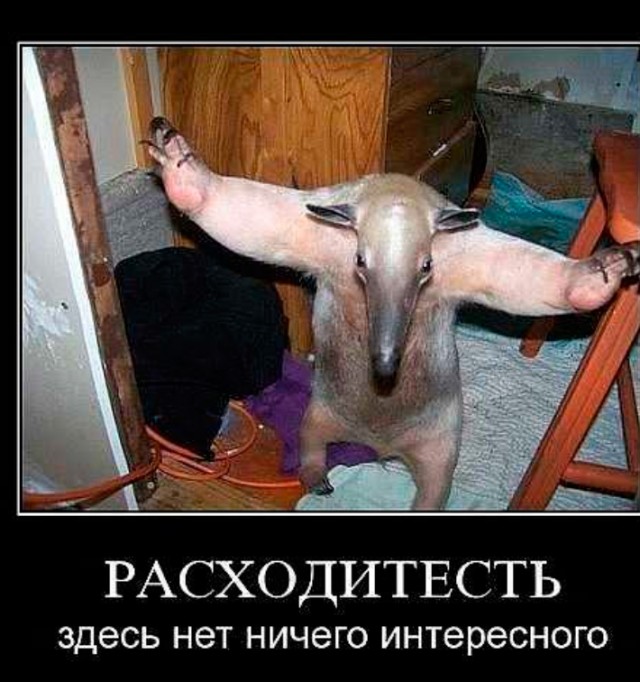 Ночные гости