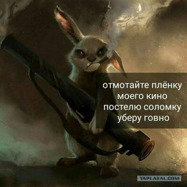 Просто картинки!