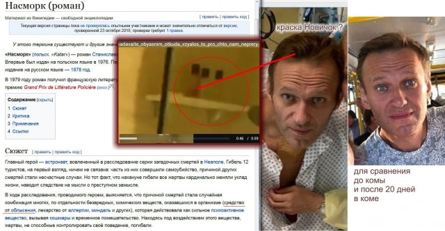 Ядовитый источник. Расследование о том, где был отравлен Алексей Навальный