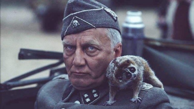 Ветеран «SS» в советском кино