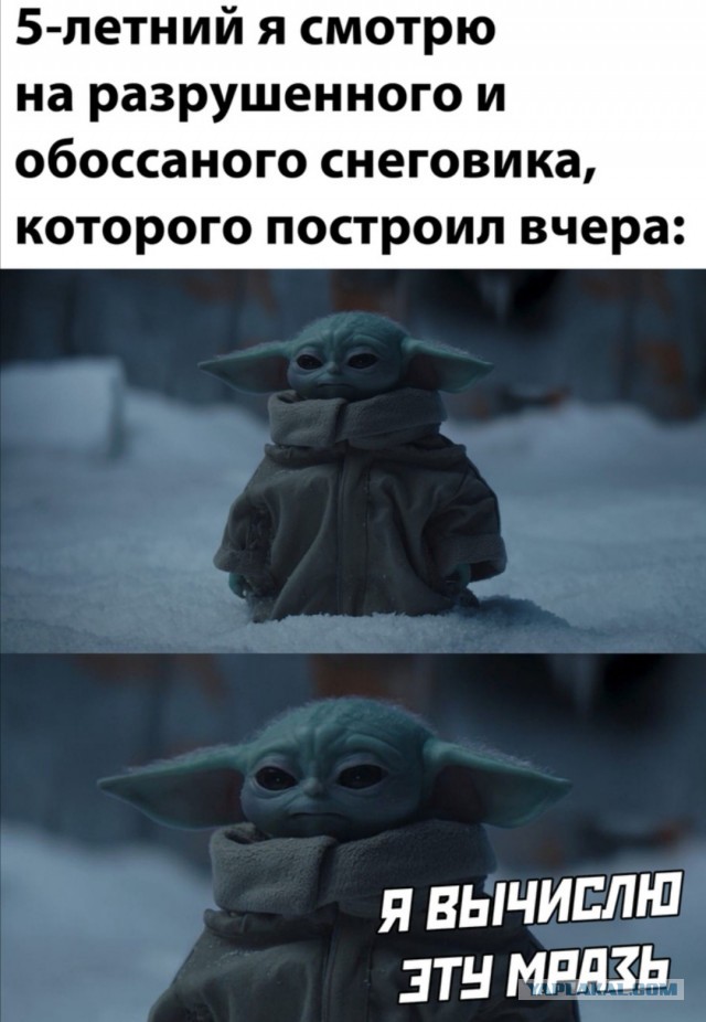 Картинки с надписями фразы и анекдоты