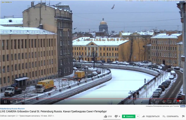 В Петербурге семейная пара избила и залила перцем врача-педиатра. Она отказалась ставить их ребёнку импортную прививку