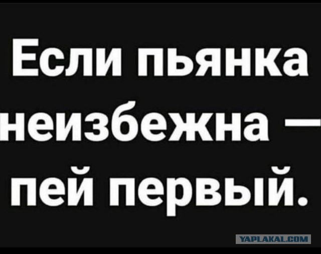 Алкопост 13.08.21