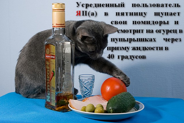 Мои умные и не очень мысли о ЯП