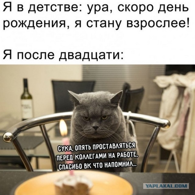 Утренняя подборка картинок и мемов - 2