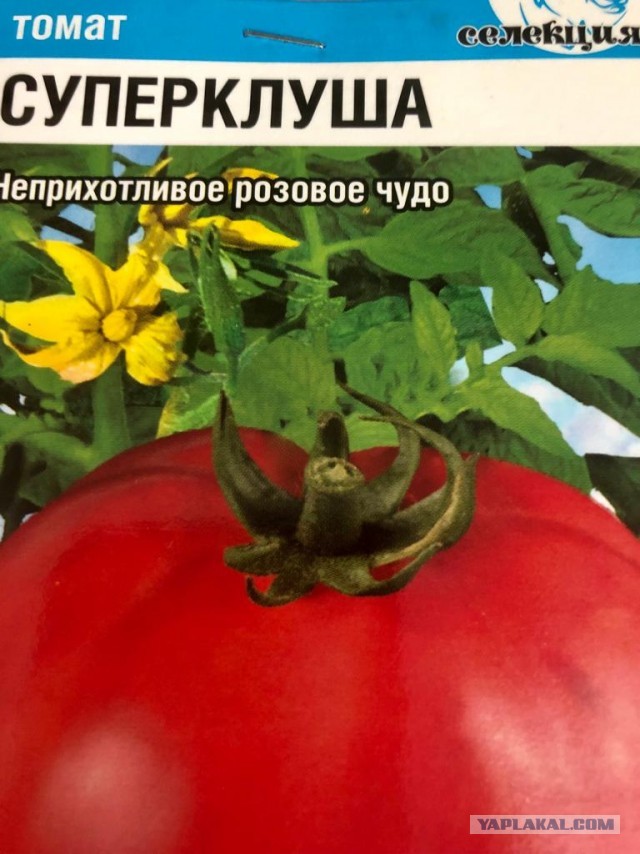Моя "спецоперация"