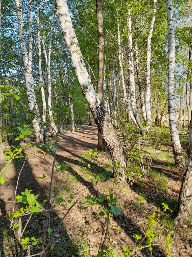 Утро, солнце. С праздником!
