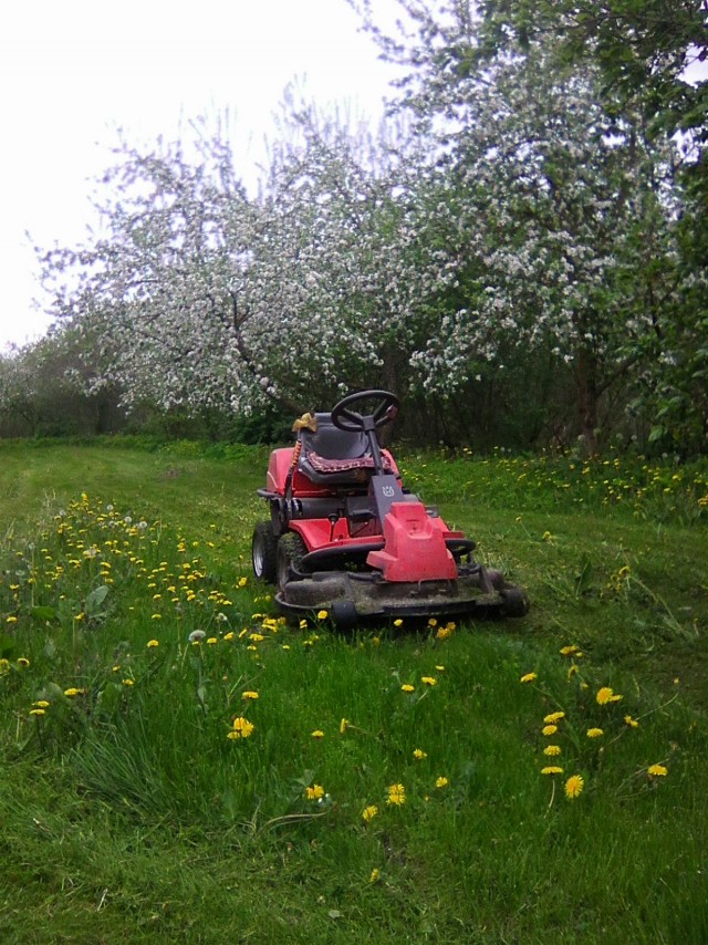 Вот моя деревня-1