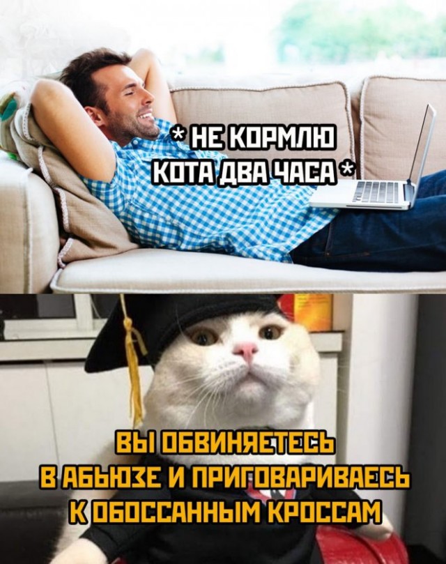 Картинки и мемы для настроения. Выходные скоро