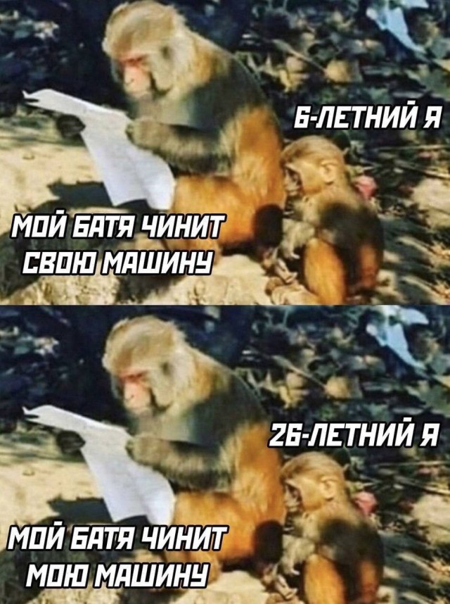 Картинки аморальные и всякие разные - 37