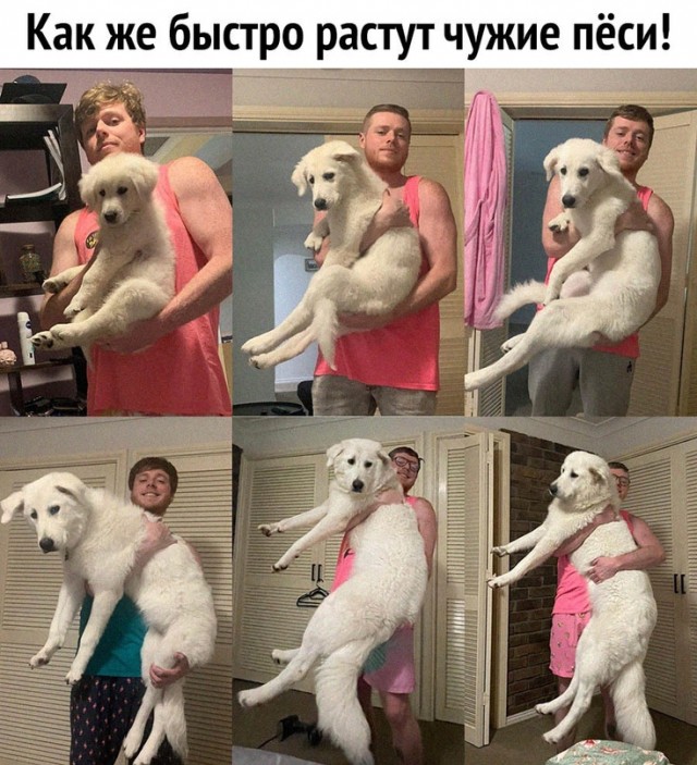 Картинки и мемы для настроения - 03