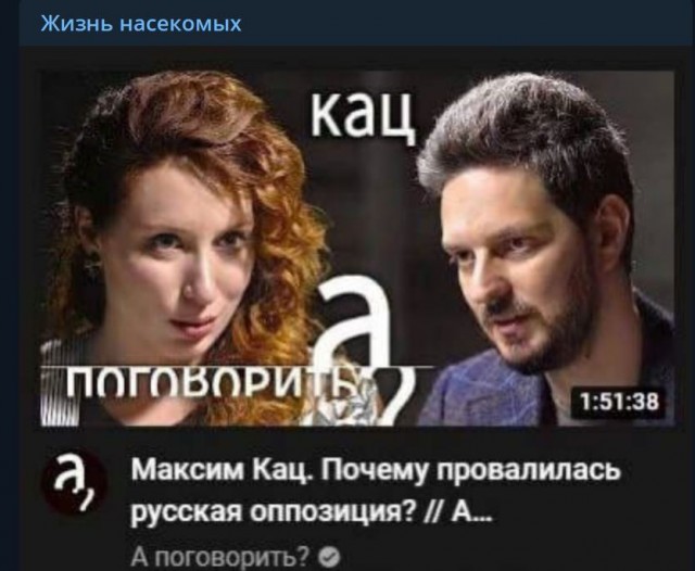 Пандемия съехавших крыш - разновидности болезни. Россия и мир. Часть 39.