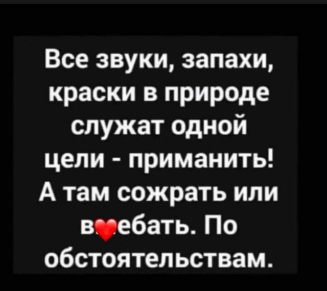 Деградация лайт 13.10.2022