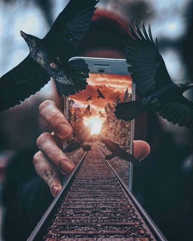 Стрекозы Атакуют Самолёт