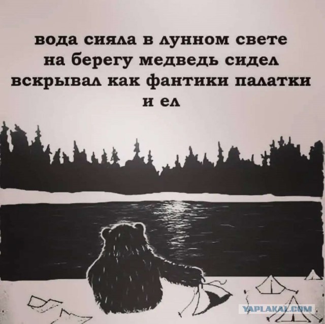 ЧЗНХ на Луне?