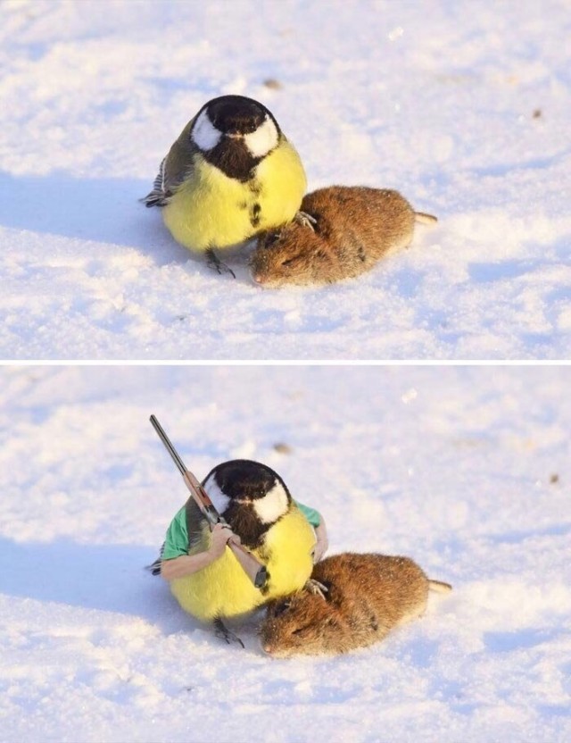 Дичь