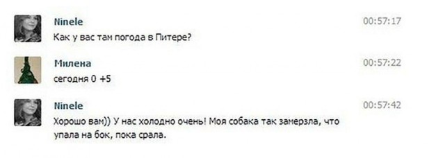 Народная меДИЧина 3009