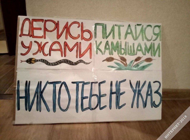 Так себе картинки 12.07.23
