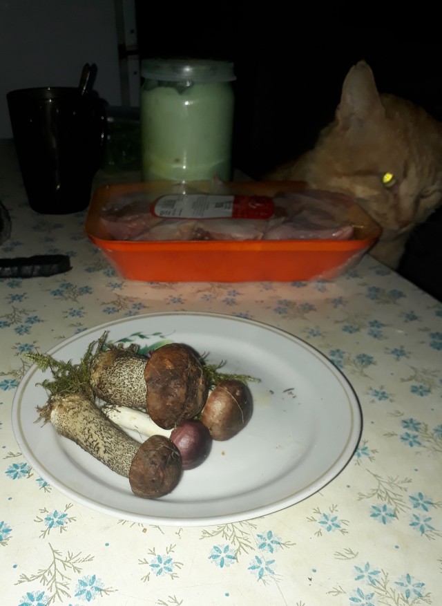 Невкусно и точка