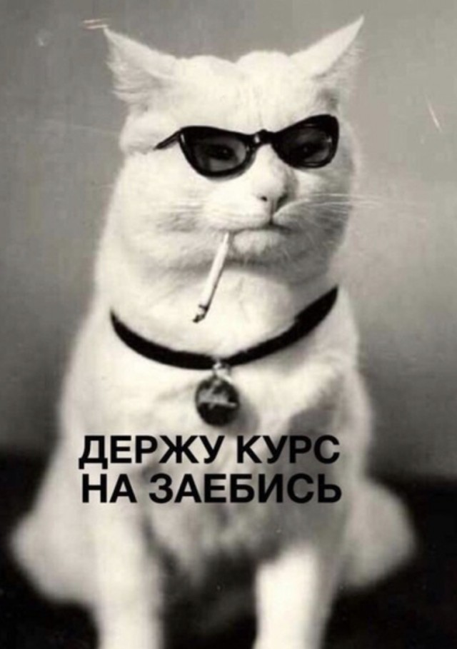 Работа в IT (бояны)