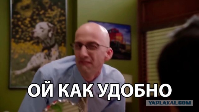 Власти Миньяра извинились за срубленную 40-летнюю ёлку на участке местной жительницы