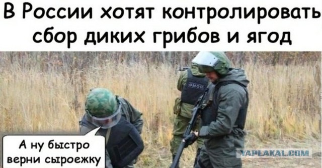 Европейская рецессия охватила Эстонию