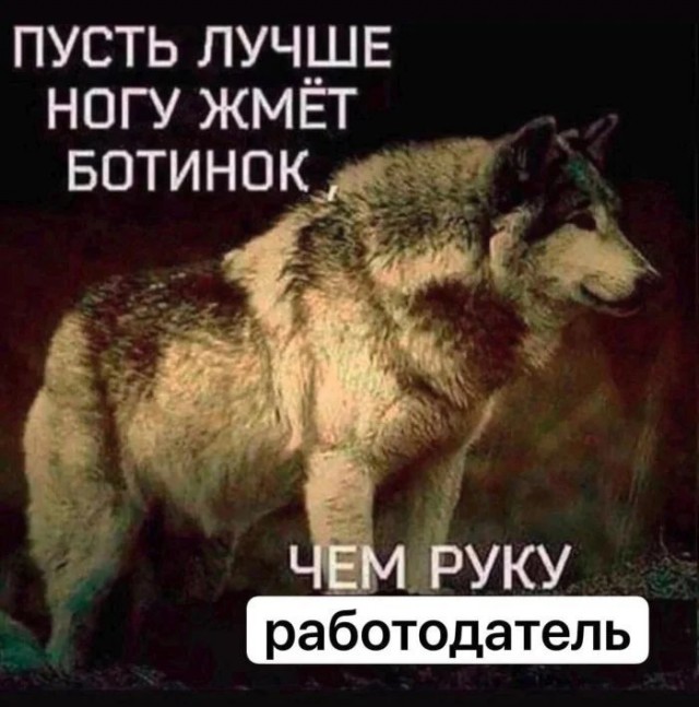 Приколы с налетом деградации