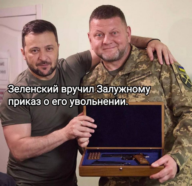 Залужный снят