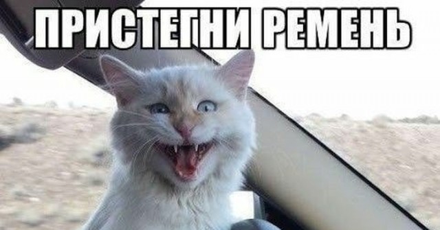 Я думал таких людей уже нет