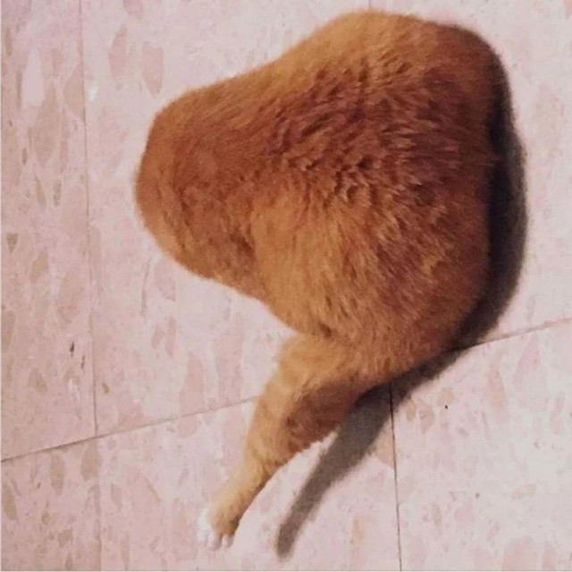 ФотоВинегрет из 60 пикч