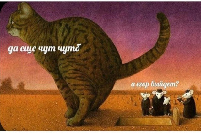Трудовыебудни подошли к своему завершению. Подборка из интернетов без общей тематики.