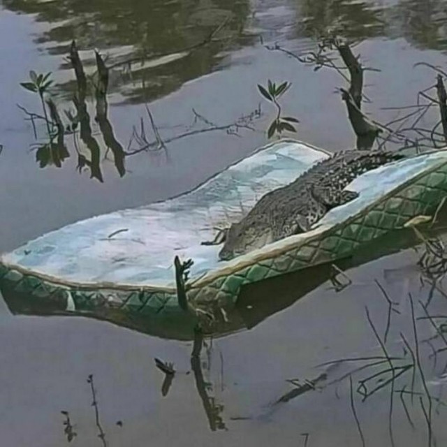 Прикольные и просто красивые картинки