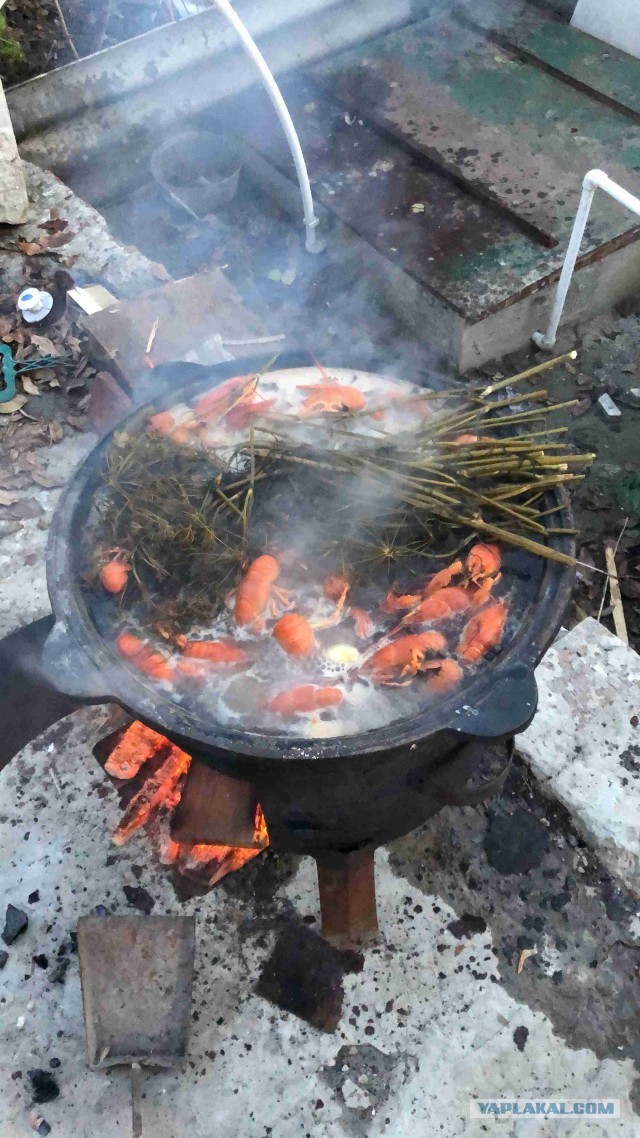 Дача, рукоделие, стройка