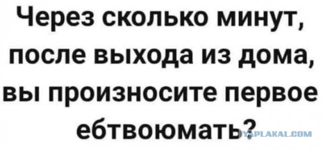 Веселые картинки в понедельник (29.10)