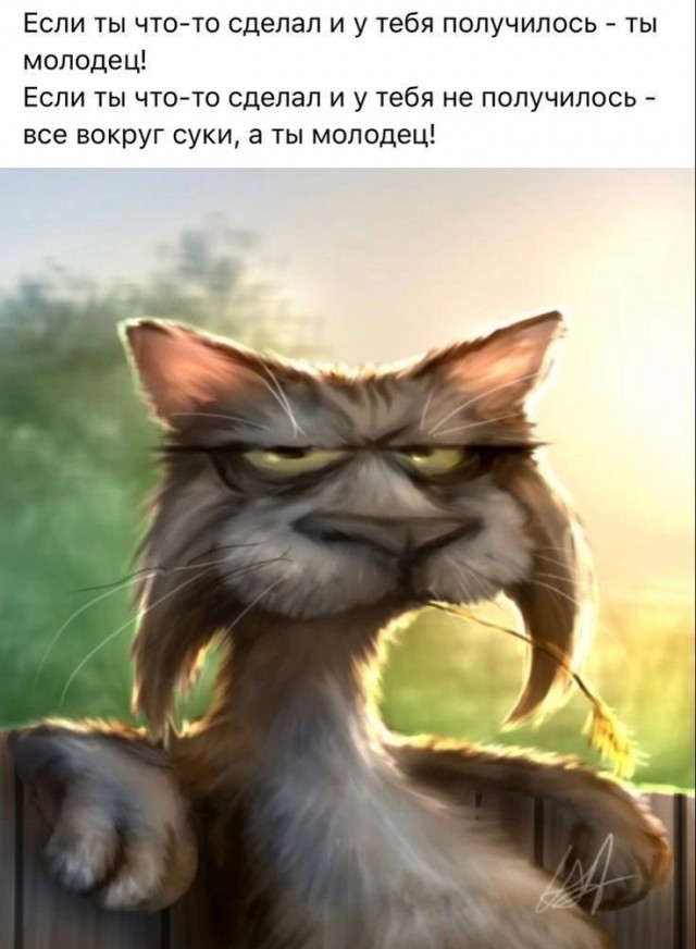 Так себе картинки 21.12.24