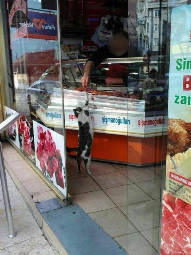 Прикольные и просто красивые картинки 28.02.2025