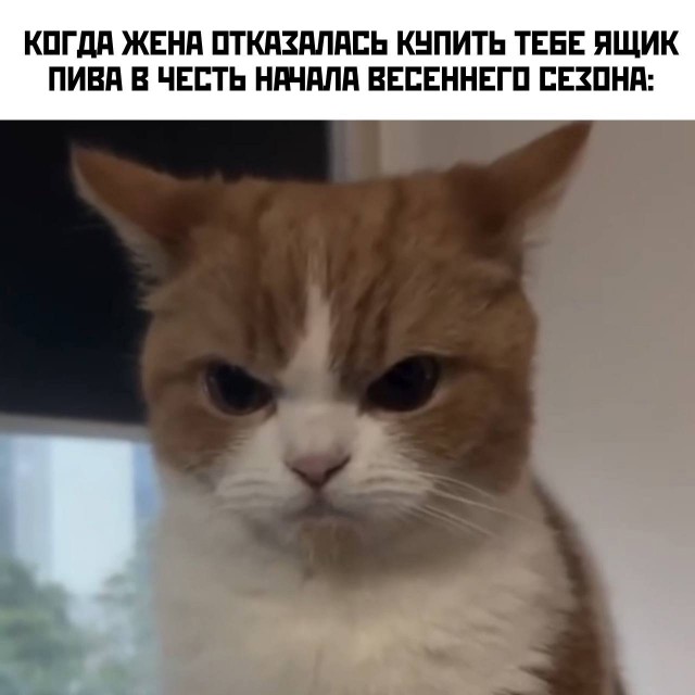 Так себе картинки 19.03.25