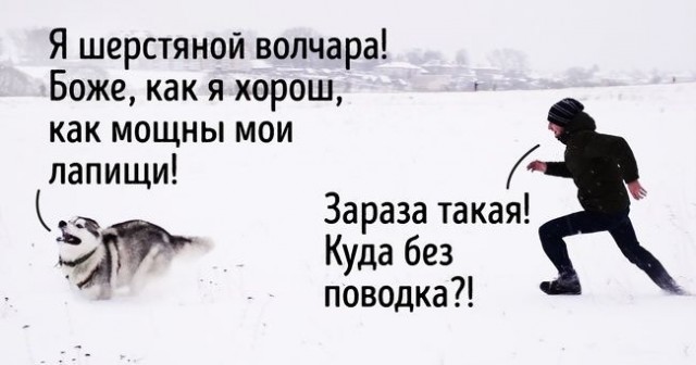 Завалялось тут случайно немного забавных картинок