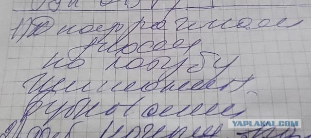 Помогите расшифровать.