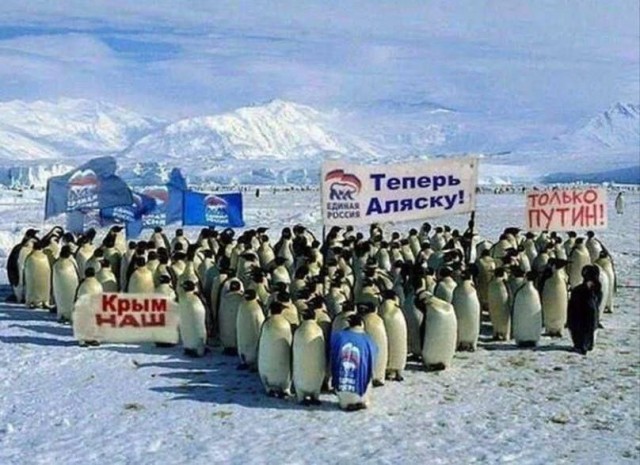 Чет тревожно...