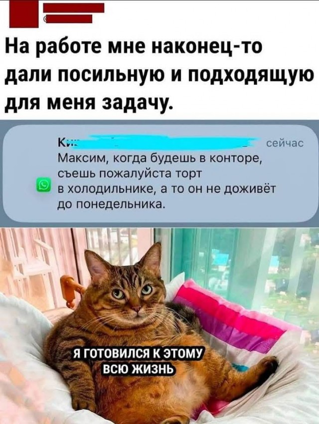 Картинки для деградации 50 (разной степени свежести)