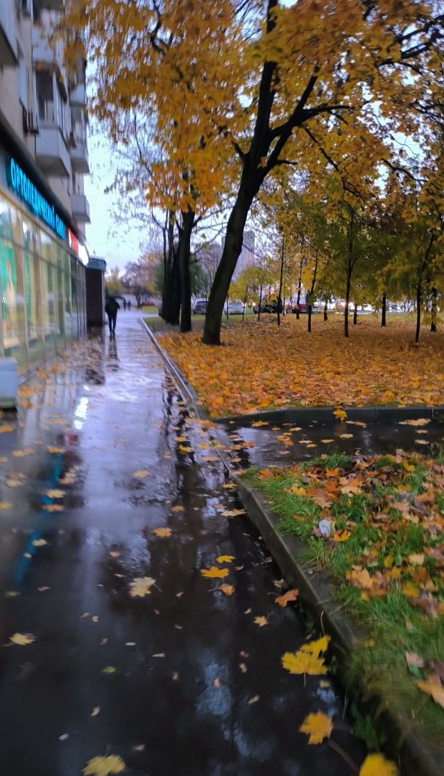 Осенние картинки