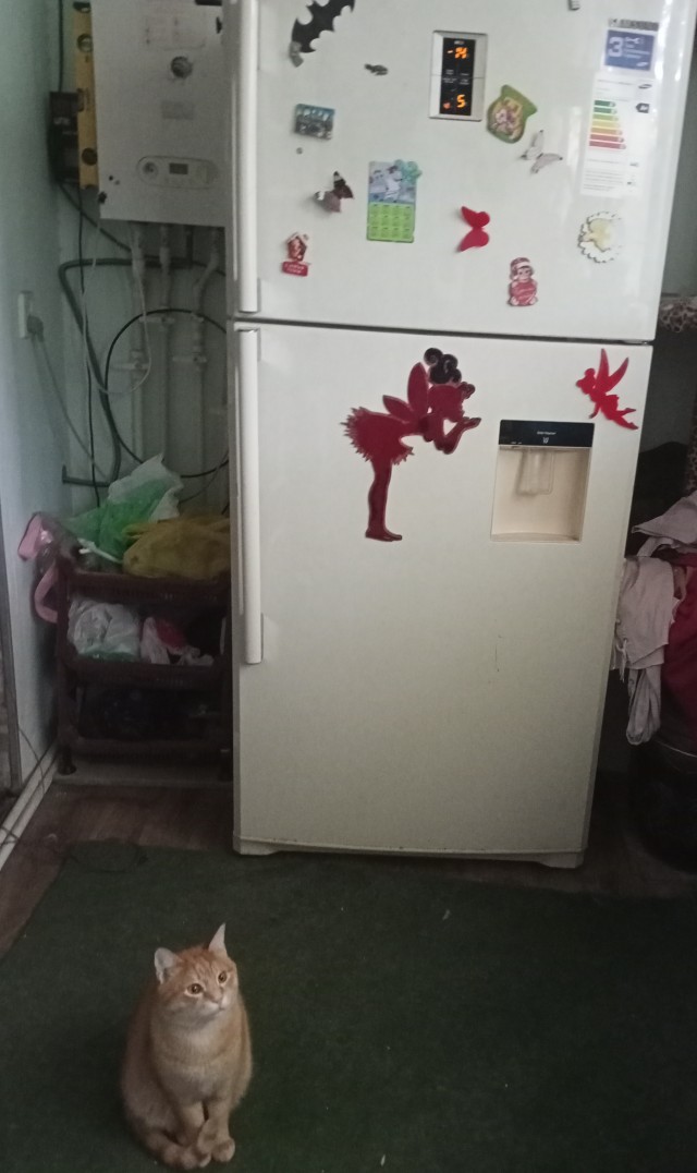 Вопрос технорям! Жалко холодильник, почтистил реле он теперь молотит без остановки,