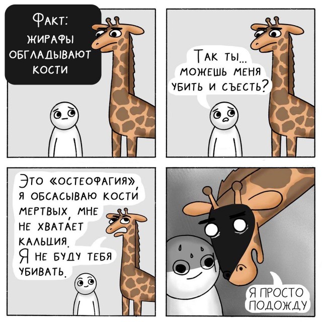 Среда обитания 0.1