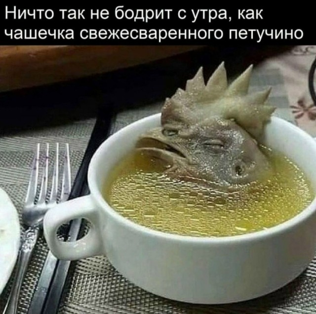 Картинки для деградации 94 (разной степени свежести)