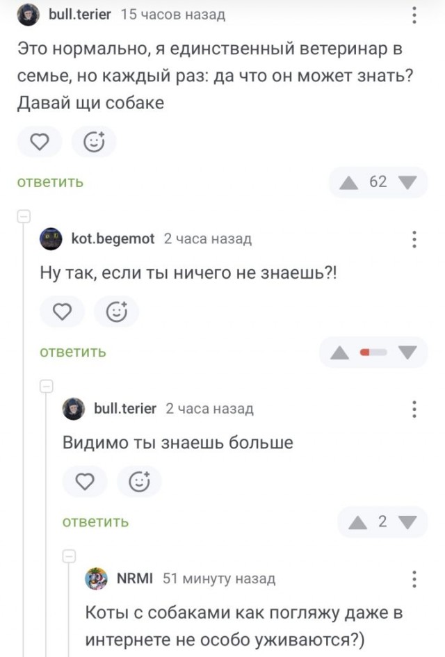Картинки для деградации 102 (разной степени свежести)