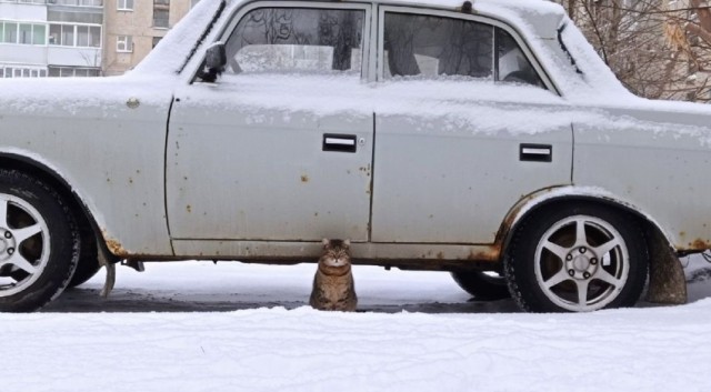 Картинки на пятницу 20.02.26