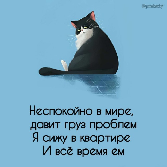 Тема дня