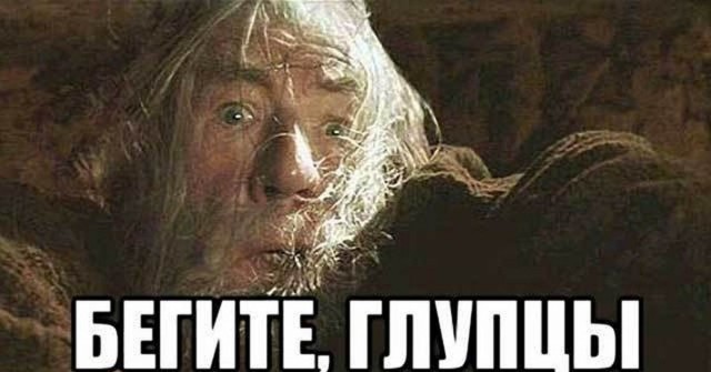 Кот токсикоман