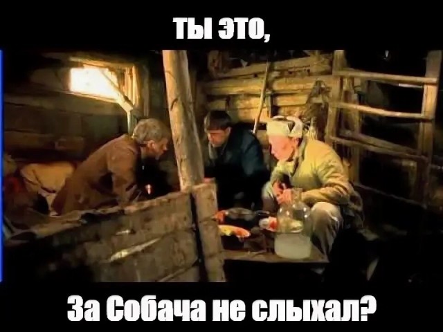 Димон про Бумер